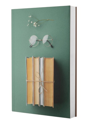 Publishing support for literary fiction creators